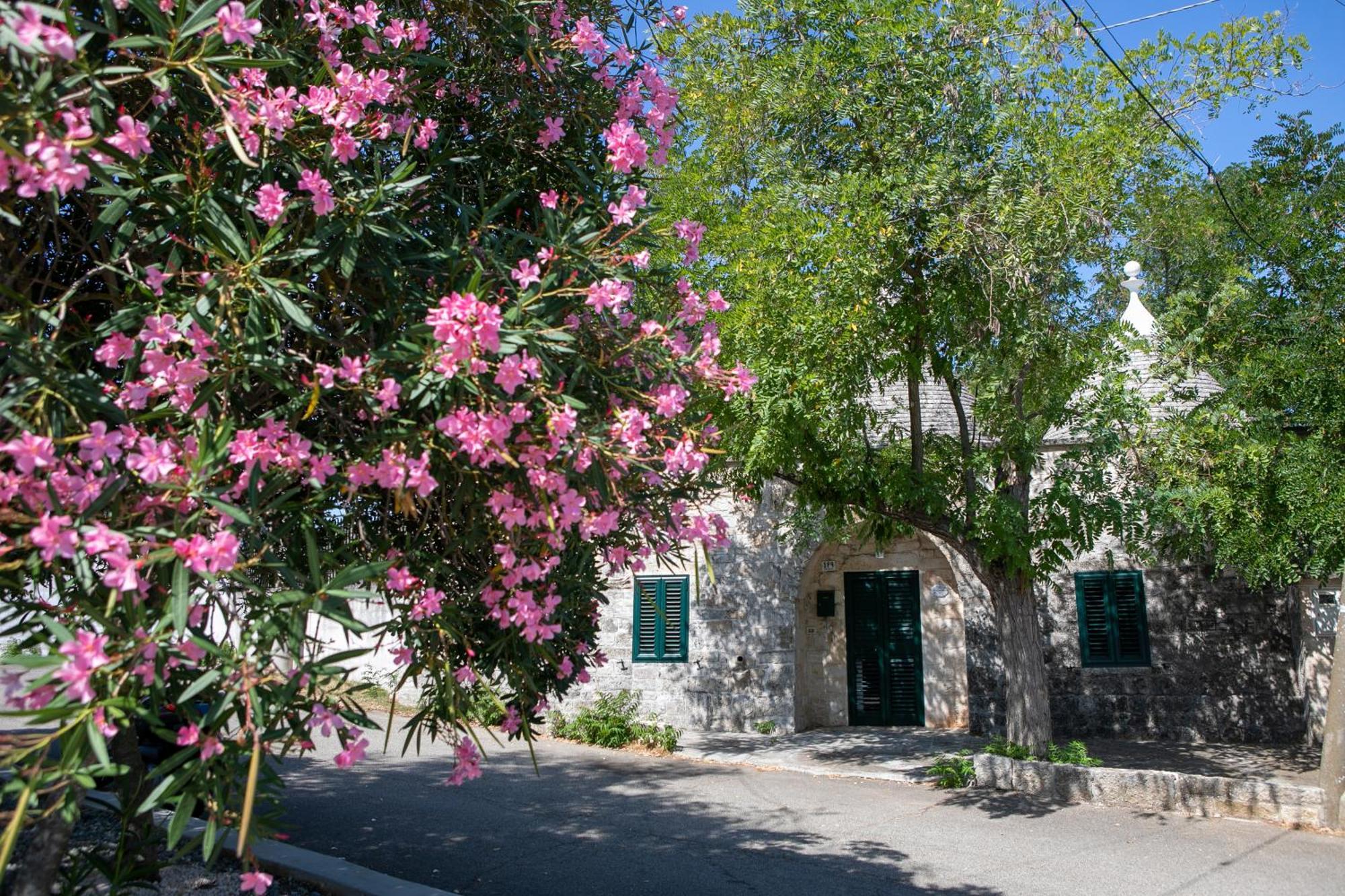 Angolo Di Puglia Локоротондо Екстериор снимка